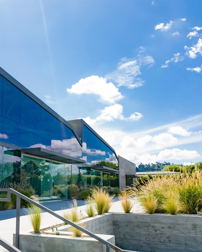 Una vía peatonal rodeada de plantas delante de un edificio acristalado de Apple.