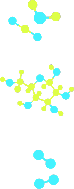 Five molecular models, one each representing carbon dioxide, water and glucose and two representing oxygen.