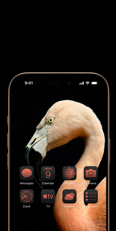 iPhone 16 Pro screen with a dynamic side-profile photo of a pink flamingo and widgets tinted pink to match.